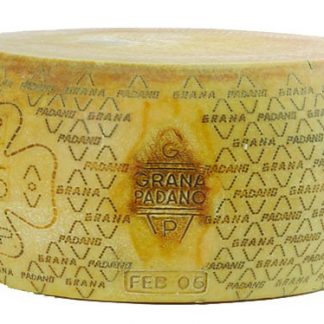 LATERIA SORESINA/ZANETTİ